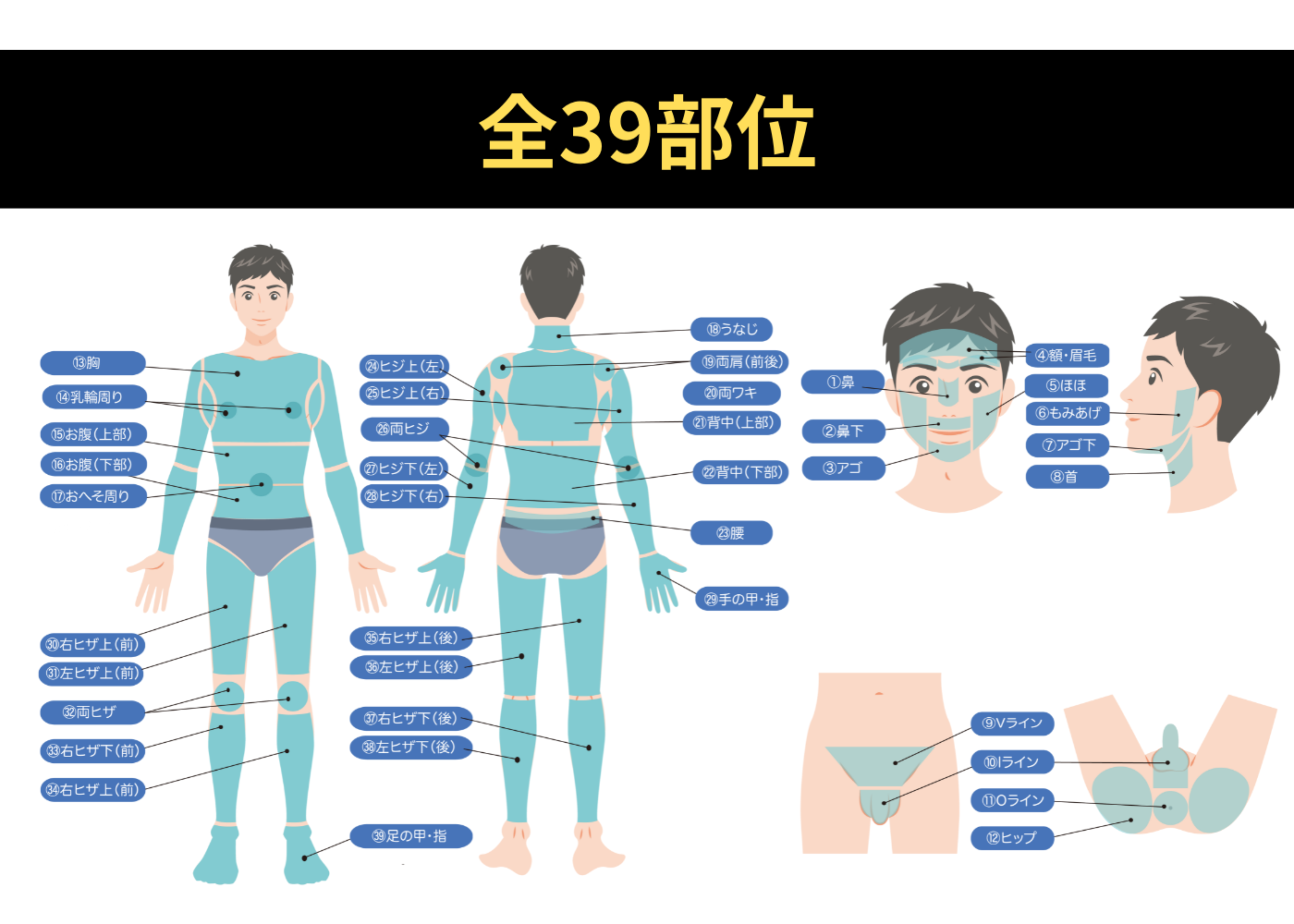 全39部位